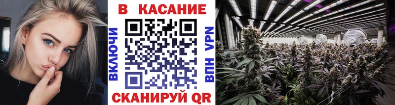 Купить Галлюциногенные грибы  ТГК  ГАШИШ  Мефедрон  МАРИХУАНА  Alpha-PVP  Кокаин  Сясьстрой