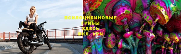 кокс Карпинск