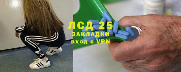эйфоретик Касимов