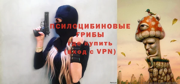эйфоретик Касимов