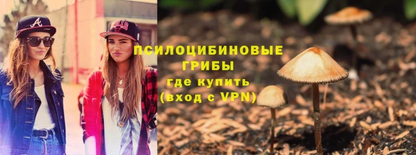 эйфоретик Касимов