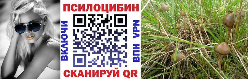 Псилоцибиновые грибы мухоморы  Купить закладки  Сясьстрой 