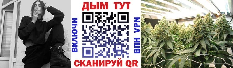 Каннабис ГИДРОПОН  Купить  Сясьстрой 
